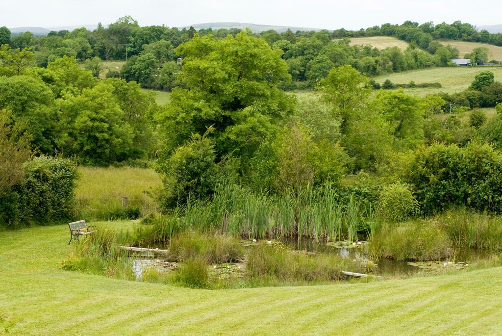 Lake Rise Holiday Home At Kilmaddaroe Carrick on Shannon Quarto foto